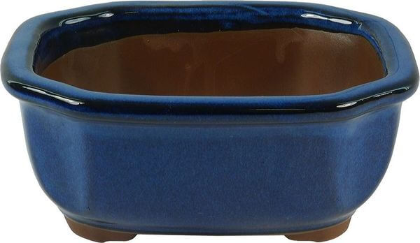 6 3/4 Oval Bonsai Pot 6 3/4 Oval Bonsai Pot