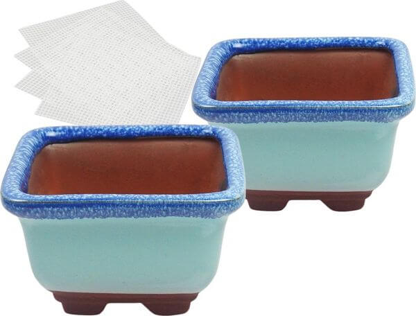 Happy Bonsai Small Glazed Bonsai Pots Happy Bonsai Small Glazed Bonsai Pots