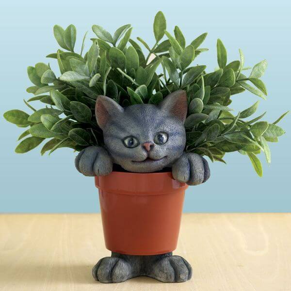  Cat  Flower Pots Golly Gee Gardening