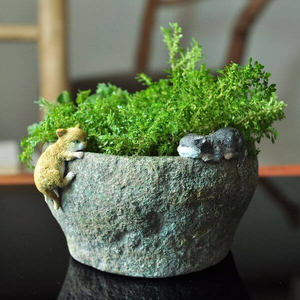 Kittens Playing on Stone Flower Pot Kittens Playing on Stone Flower Pot