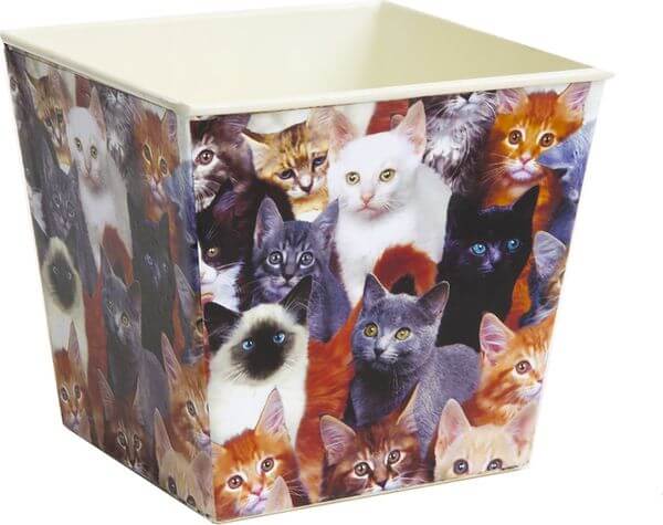 Priscilla's Exclusive Real Cats Planter Pot Priscilla's Exclusive Real Cats Planter Pot