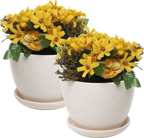 Ceramic Flower Pots - Golly Gee Gardening