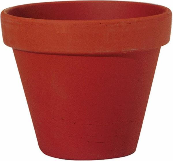 Clay Flower Pots Golly Gee Gardening   Clayflowerpot2 