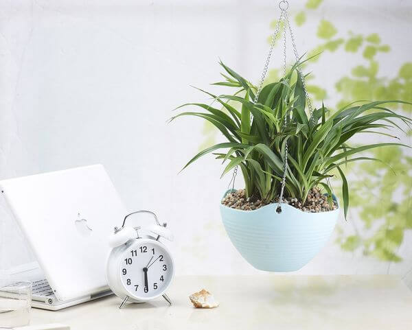 ASSIS Hanging Decorative Flower Pot ASSIS Hanging Decorative Flower Pot