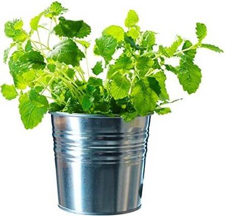 Ikea Galvanized Plant Pots, Silver Ikea Galvanized Plant Pots, Silver