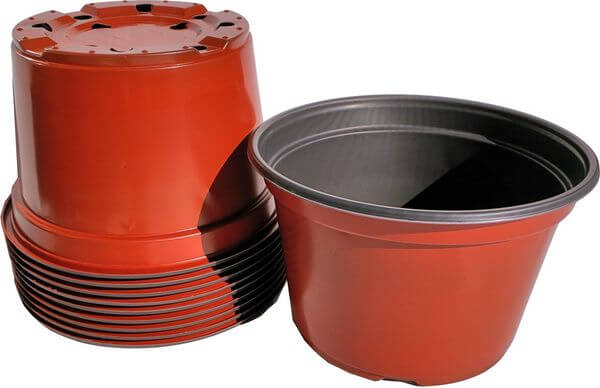 8-Inch Round Plastic Flower Pots, 10 Pack 8-Inch Round Plastic Flower Pots, 10 Pack