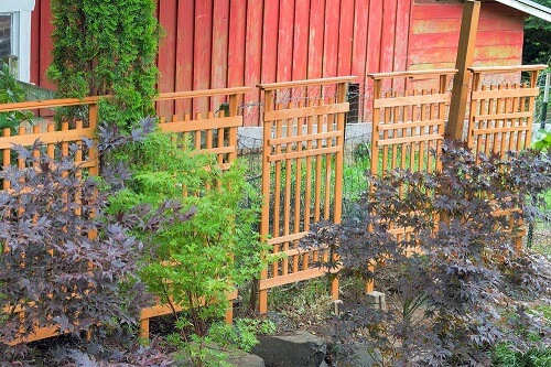 How To Build A Wooden Trellis For Your Garden Golly Gee Gardening A Trellis Can Be Great Addition To Your Garden They Are Used Give Support Climbing Plants Vegetables And Flowers Very Attractive