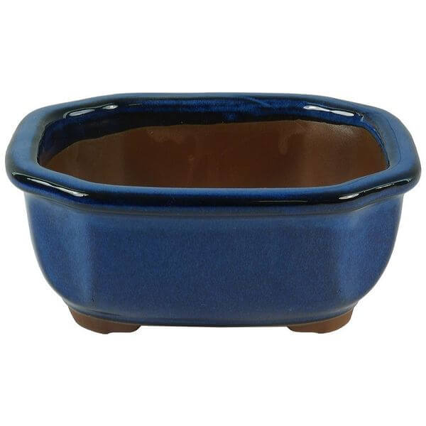 6 3/4 Oval Bonsai Pot 6 3/4 Oval Bonsai Pot