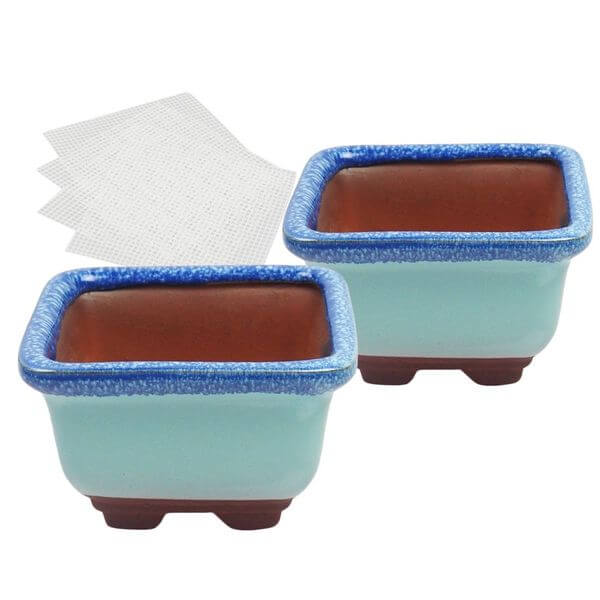 Happy Bonsai Small Glazed Bonsai Pots Happy Bonsai Small Glazed Bonsai Pots