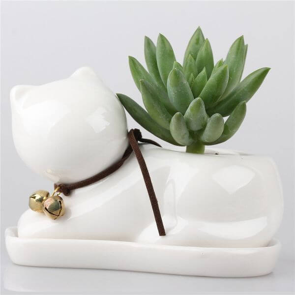 Small Cat Ceramic Succulent Plant Flower Pot Small Cat Ceramic Succulent Plant Flower Pot