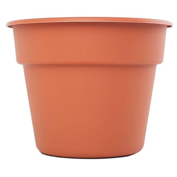 Bloem Large Dura Cotta Planter, Terra Cotta Bloem Large Dura Cotta Planter, Terra Cotta