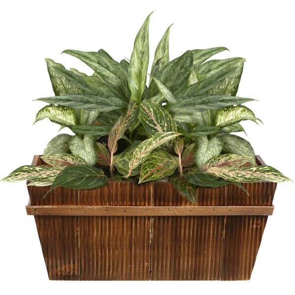 16-inch Decorative Country Rustic Wooden Flower Pot 16-inch Decorative Country Rustic Wooden Flower Pot