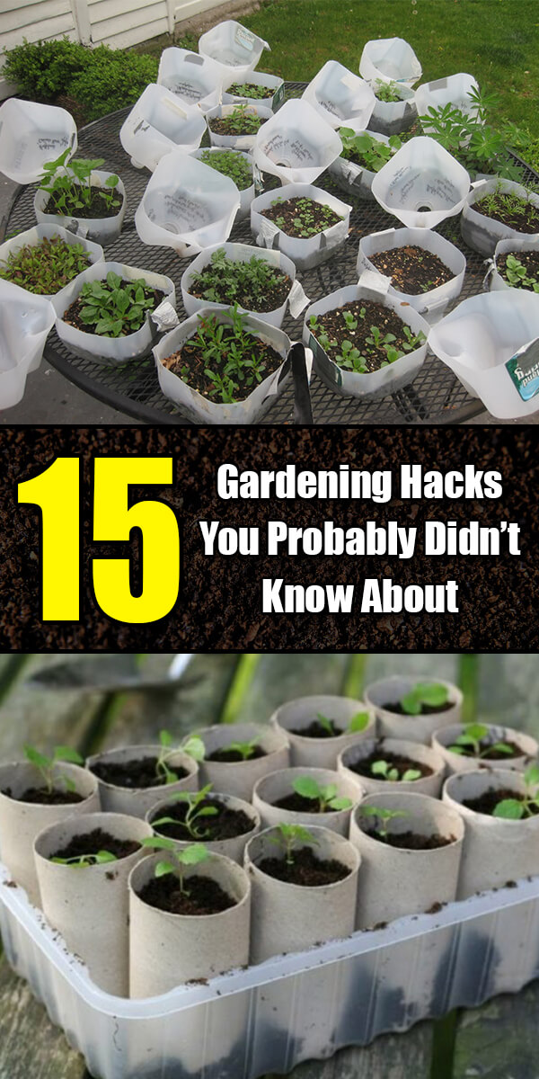 15 Simple Gardening Hacks You Probably Didn’t Know About