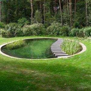 80 Garden Pond Ideas and Designs - Golly Gee Gardening #gardenpond #gardenponds #gardeninspiration #gardenideas