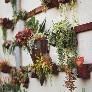 60 Wall Garden Ideas and Inspiration - Golly Gee Gardening #wallgardens #verticalgardens #verticalgardening